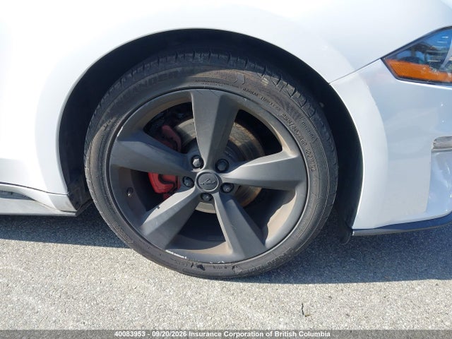Ford Mustang Ecoboost 2019 1FA6P8TH7K5105183 Image 12