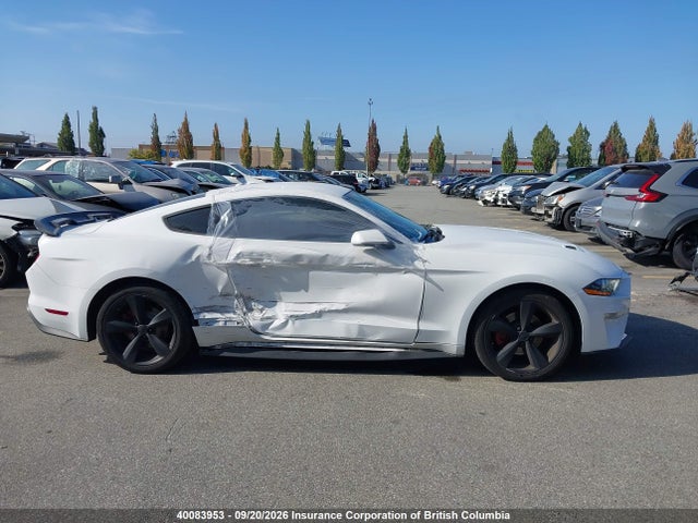 Ford Mustang Ecoboost 2019 1FA6P8TH7K5105183 Image 14