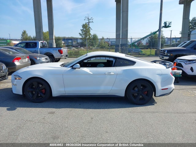 Ford Mustang Ecoboost 2019 1FA6P8TH7K5105183 Image 15