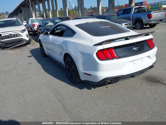Ford Mustang Ecoboost 2019 1FA6P8TH7K5105183 Image 3