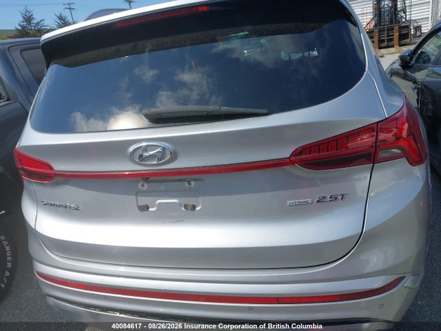 5NMS5DAL5MH314436 Hyundai Santa Fe Calligraphy