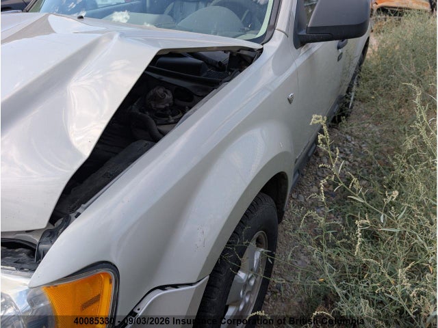 Продаж на аукціоні авто 2008 Ford Escape Xlt, vin: 1FMCU93198KA19555, номер лоту: 40085330