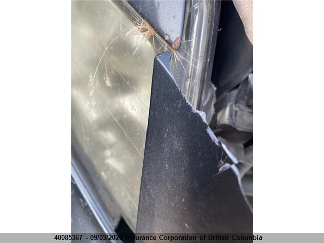40085367 :رقم المزاد ، 19UUA66207A800829 vin ، 2007 Acura Tl مزاد بيع