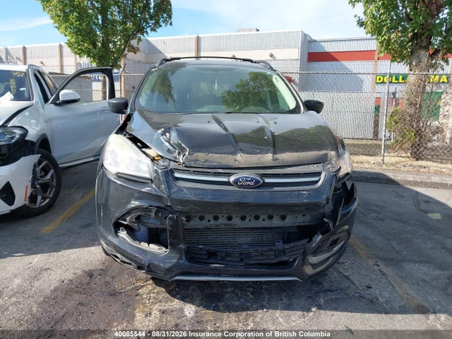 Продаж на аукціоні авто 2013 Ford Escape Se, vin: 1FMCU9G97DUA08360, номер лоту: 40085544
