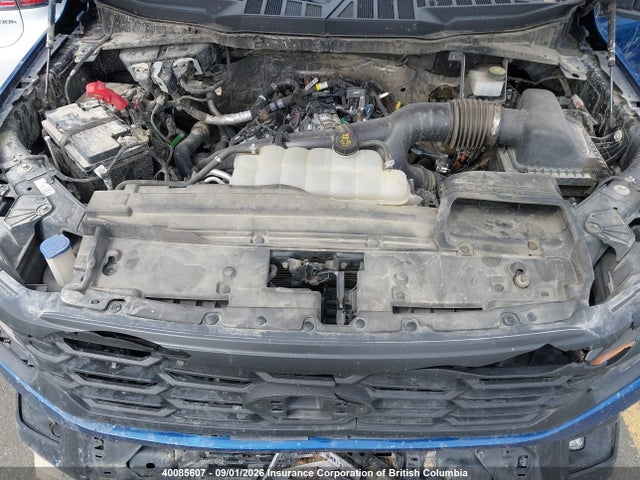 1FTEW2LP0RFB46157 Ford F150