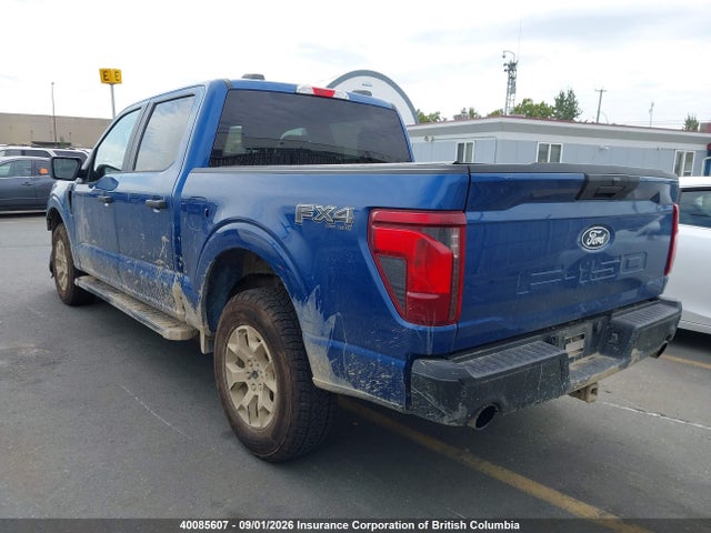 1FTEW2LP0RFB46157 Ford F150