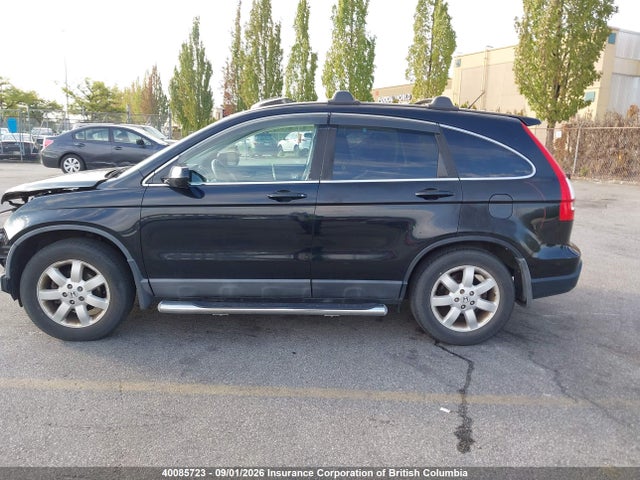 Продаж на аукціоні авто 2009 Honda Cr-v, vin: 5J6RE48799L802716, номер лоту: 40085723