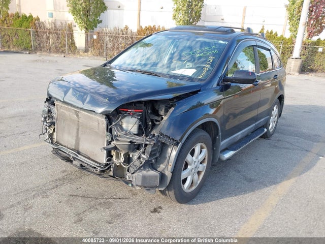 Продаж на аукціоні авто 2009 Honda Cr-v, vin: 5J6RE48799L802716, номер лоту: 40085723