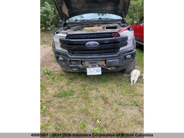 Продажа на аукционе авто 2019 Ford F150, vin: 1FTFW1E50KKE97416, номер лота: 40085981