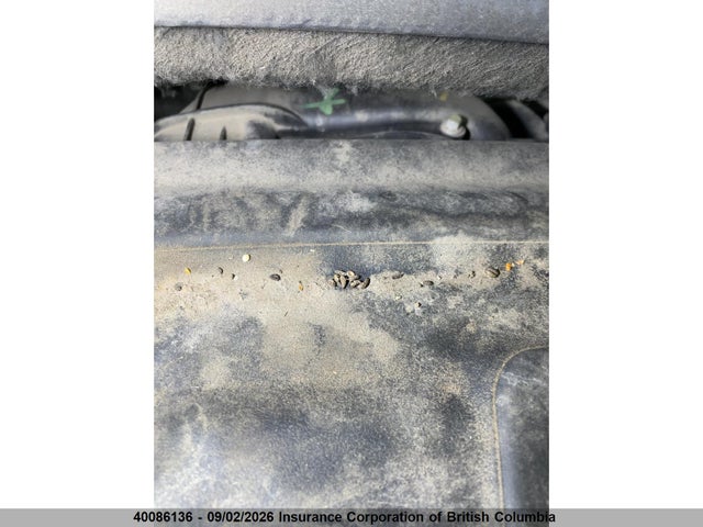 Aukcja sprzedaży 2019 Jeep Grand Cherokee Laredo, vin: 1C4RJFAG8KC822677, numer aukcji: 40086136