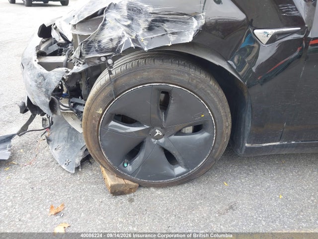 Tesla MODEL 3 2019 5YJ3E1EA4KF483129 Image 12