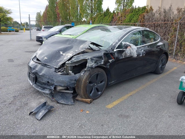 Tesla MODEL 3 2019 5YJ3E1EA4KF483129 Image 2
