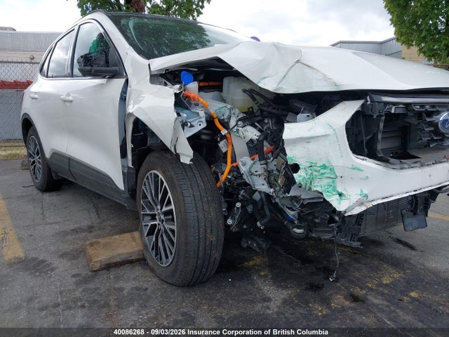 Ford Escape Phev 2024 1FMCU0E19RUA68933 Image 6