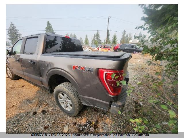 1FTEW1EP7MFA01276 Ford F150
