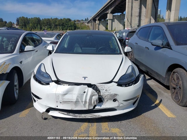 Tesla MODEL 3 2021 5YJ3E1EA3MF994494 Image 13
