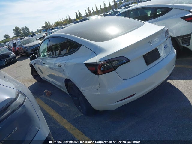 Tesla MODEL 3 2021 5YJ3E1EA3MF994494 Image 3