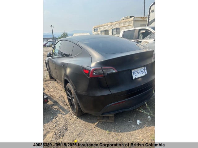 Tesla Model Y 2023 7SAYGDEE0PF771941 Image 3