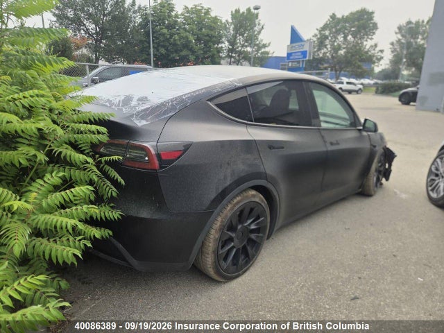 Tesla Model Y 2023 7SAYGDEE0PF771941 Image 4