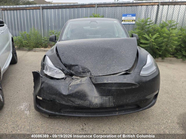 Tesla Model Y 2023 7SAYGDEE0PF771941 Image 5