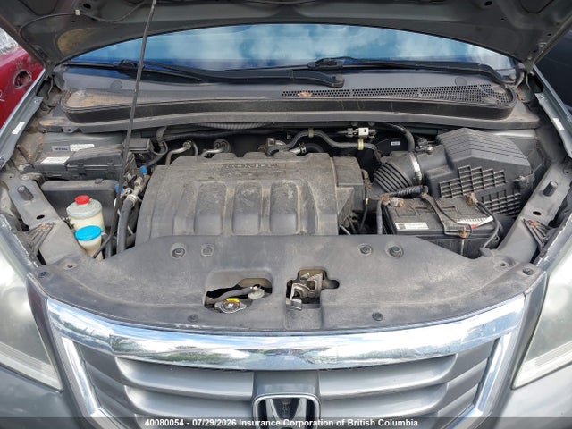 2008 Honda Odyssey Ex მანქანა იყიდება აუქციონზე, vin: 5FNRL38408B500485, აუქციონის ნომერი: 40080054