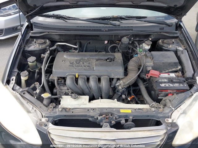40086591 :رقم المزاد ، 2T1BR32E53C766423 vin ، 2003 Toyota Corolla Ce/le/sport مزاد بيع