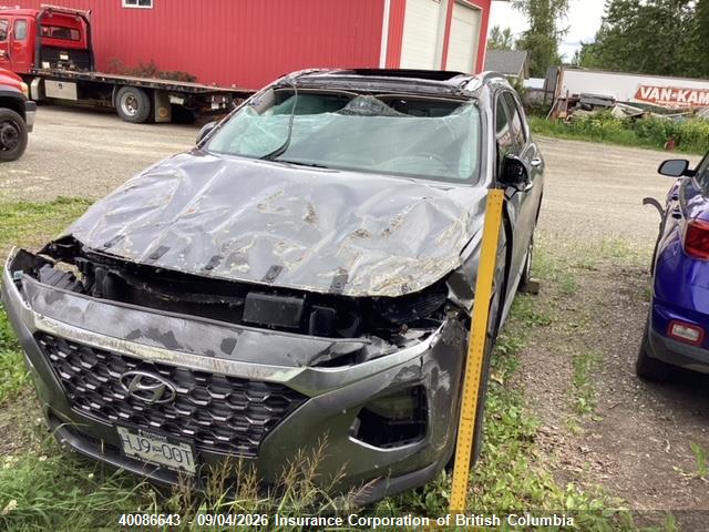 Hyundai Santa Fe Sel/sel Plus 2019 5NMS3CAA0KH017747 Image 2