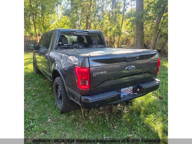 Ford F150 2017 1FTEW1EG2HFB57991 Image 3