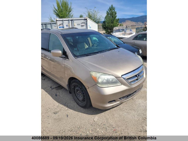 2006 Honda Odyssey Exl მანქანა იყიდება აუქციონზე, vin: 5FNRL38616B501479, აუქციონის ნომერი: 40086689