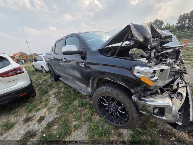 Toyota Tundra Crewmax 1794/crewmax Platinum 2020 5TFAY5F19LX907898 главное изображение