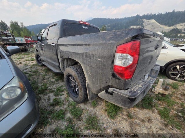 5TFAY5F19LX907898 Toyota Tundra Crewmax 1794/crewmax Platinum