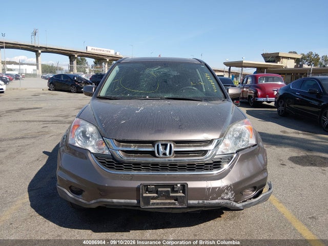 Aukcja sprzedaży 2011 Honda Cr-v, vin: 5J6RE4H53BL818446, numer aukcji: 40086984