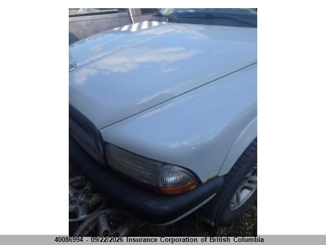 Продаж на аукціоні авто 2004 Dodge Dakota Sport, vin: 1D7HG38N74S745800, номер лоту: 40086994