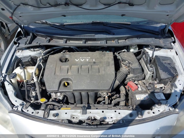 Продажа на аукционе авто 2009 Toyota Corolla S/le/xle, vin: 2T1BU40E19C101387, номер лота: 40086816