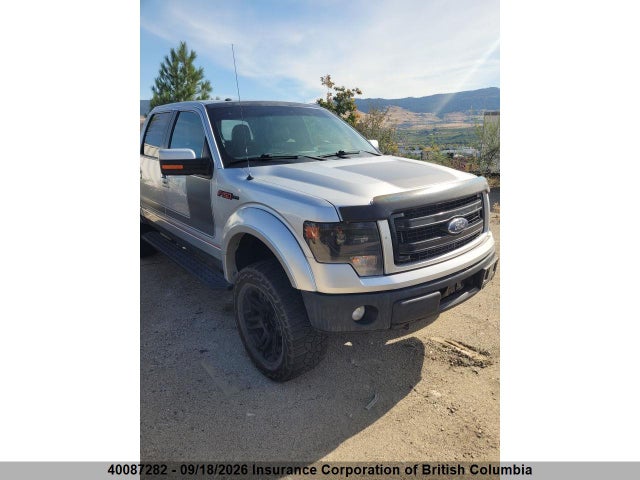 40087282 :رقم المزاد ، 1FTFW1ET8DFC15596 vin ، 2013 Ford F150 مزاد بيع