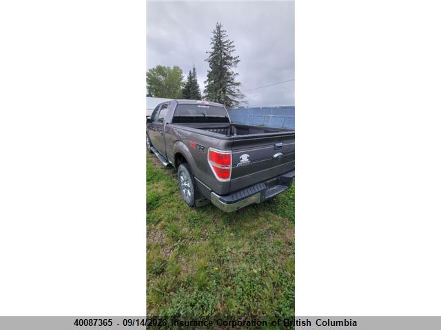 40087365 :رقم المزاد ، 1FTFW1EF5EFA88012 vin ، 2014 Ford F150 مزاد بيع
