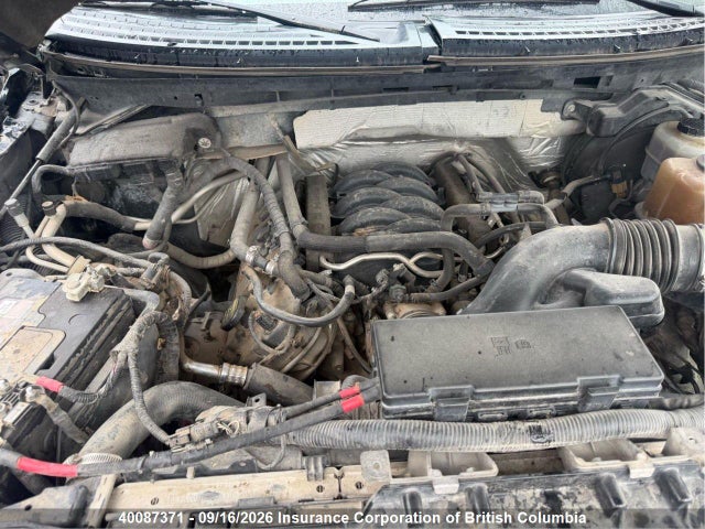Продажа на аукционе авто 2012 Ford F150, vin: 1FTFX1EF6CFC45041, номер лота: 40087371