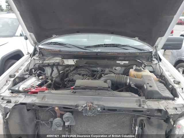Aukcja sprzedaży 2013 Ford F150, vin: 1FTMF1CM9DKE73894, numer aukcji: 40087421