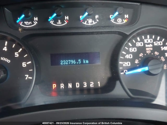 Aukcja sprzedaży 2013 Ford F150, vin: 1FTMF1CM9DKE73894, numer aukcji: 40087421