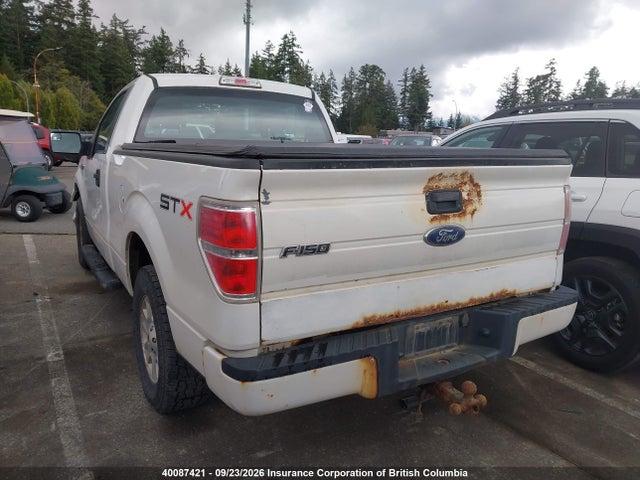 Aukcja sprzedaży 2013 Ford F150, vin: 1FTMF1CM9DKE73894, numer aukcji: 40087421