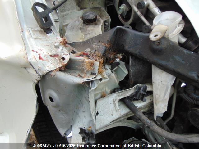 40087425 :رقم المزاد ، JN8AS5MV8DW122291 vin ، 2013 Nissan Rogue مزاد بيع