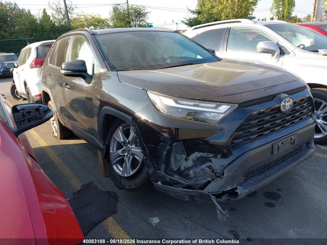 40083188 :رقم المزاد ، 2T3RWRFV3PW177550 vin ، 2023 Toyota Rav4 Xle/woodland Edition مزاد بيع