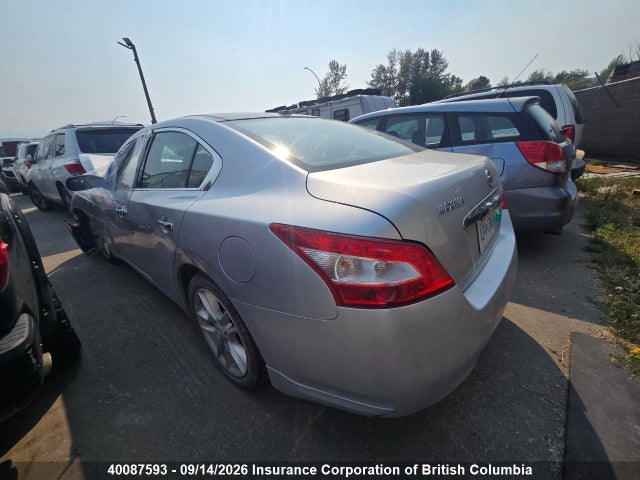 2009 Nissan Maxima S/sv მანქანა იყიდება აუქციონზე, vin: 1N4AA51E69C851486, აუქციონის ნომერი: 40087593