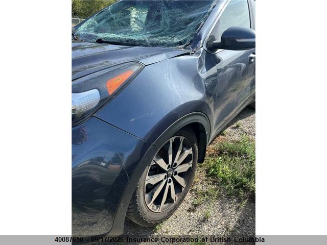 Продажа на аукционе авто 2019 Kia Sportage Ex, vin: KNDPNCACXK7497823, номер лота: 40087650