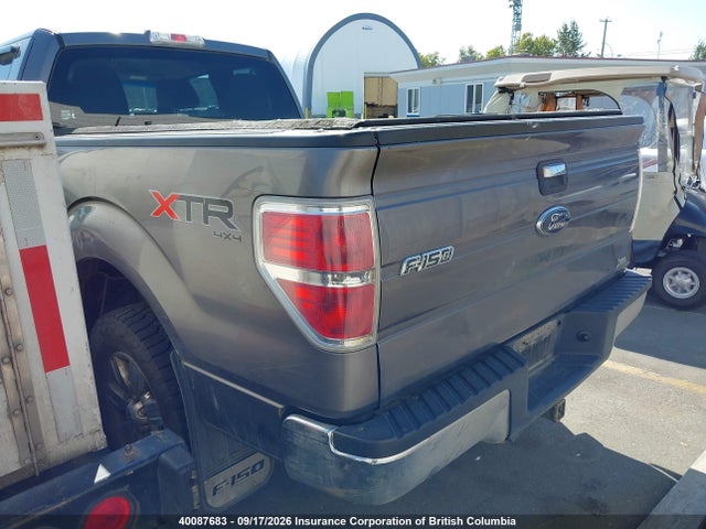 Aukcja sprzedaży 2010 Ford F150, vin: 1FTFX1EV9AFC19876, numer aukcji: 40087683