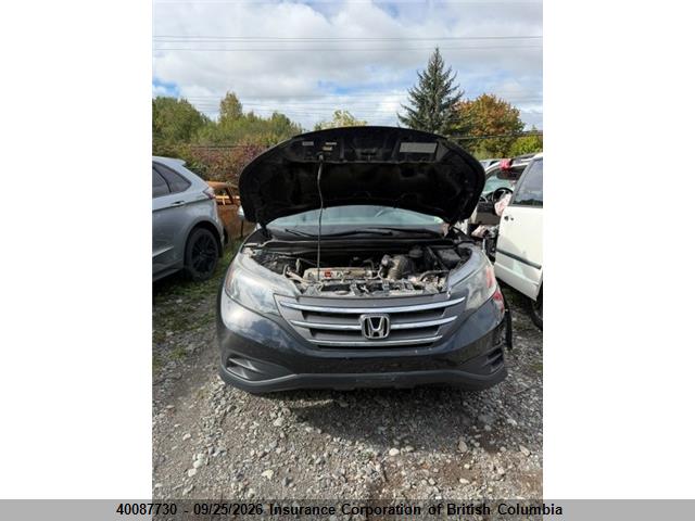 40087730 :رقم المزاد ، 2HKRM4H32DH117783 vin ، 2013 Honda Cr-v مزاد بيع