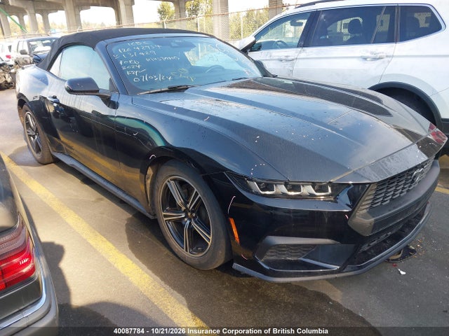 Ford Mustang Ecoboost/ecoboost Premium 2024 1FAGP8UH4R5131429 головне зображення