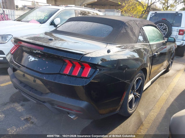 1FAGP8UH4R5131429 Ford Mustang Ecoboost/ecoboost Premium