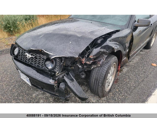 Продаж на аукціоні авто 2005 Ford Mustang Gt, vin: 1ZVHT82H255111118, номер лоту: 40088191