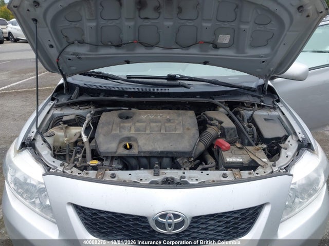 Продаж на аукціоні авто 2009 Toyota Corolla Ce, vin: 2T1BU40E49C037975, номер лоту: 40088275