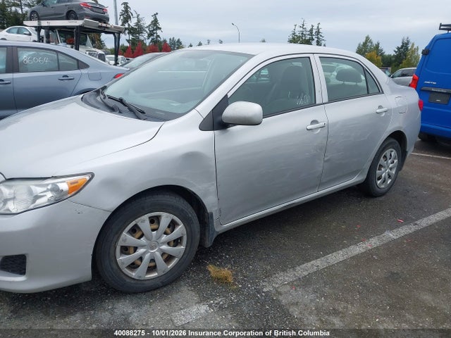 Продаж на аукціоні авто 2009 Toyota Corolla Ce, vin: 2T1BU40E49C037975, номер лоту: 40088275